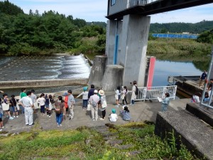 新一の堰頭首工①