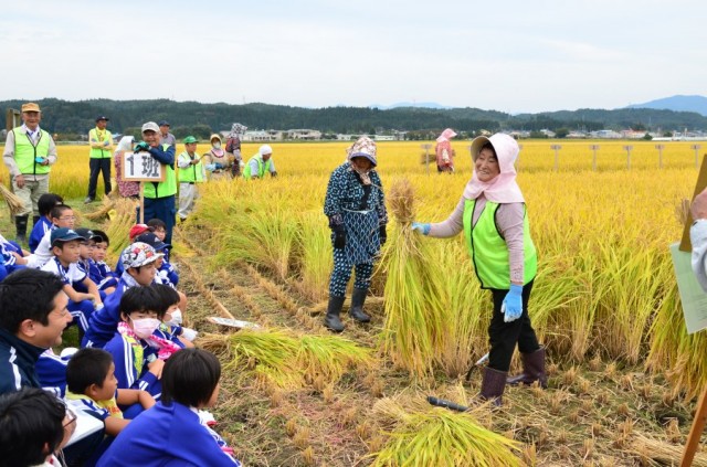 ○九嶋祐「体験学習」