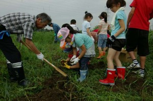 体験農場（H22.8.3） 5873