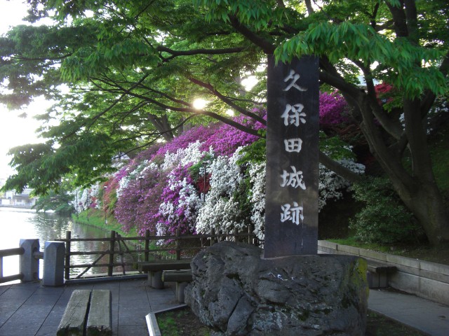 CIMG5894