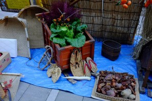 DSCF2771