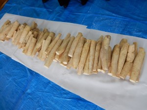 dscn2930