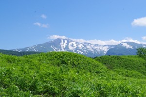 IMGP5338