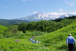 IMGP5345