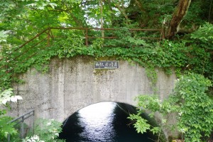 IMGP8086