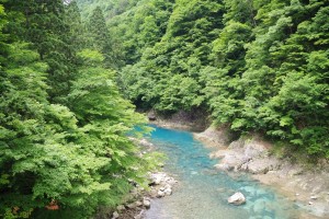 IMGP8218