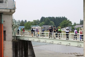 IMG_0548